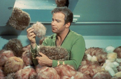 Do you know what you get if you feed a tribble too much? 